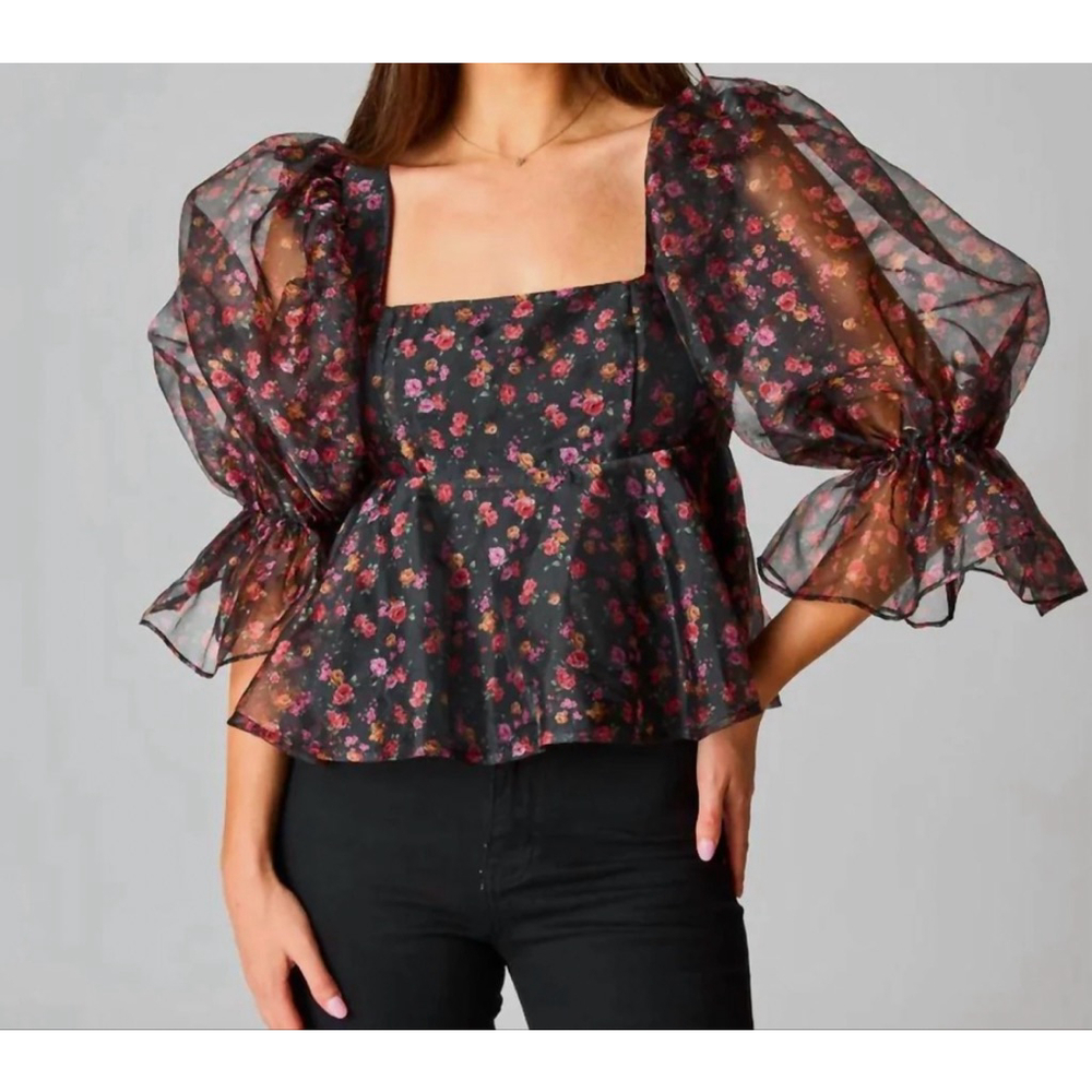 Buddy Love Sheer Floral Puff Sleeve Top Romantic Cottagecore Blouse